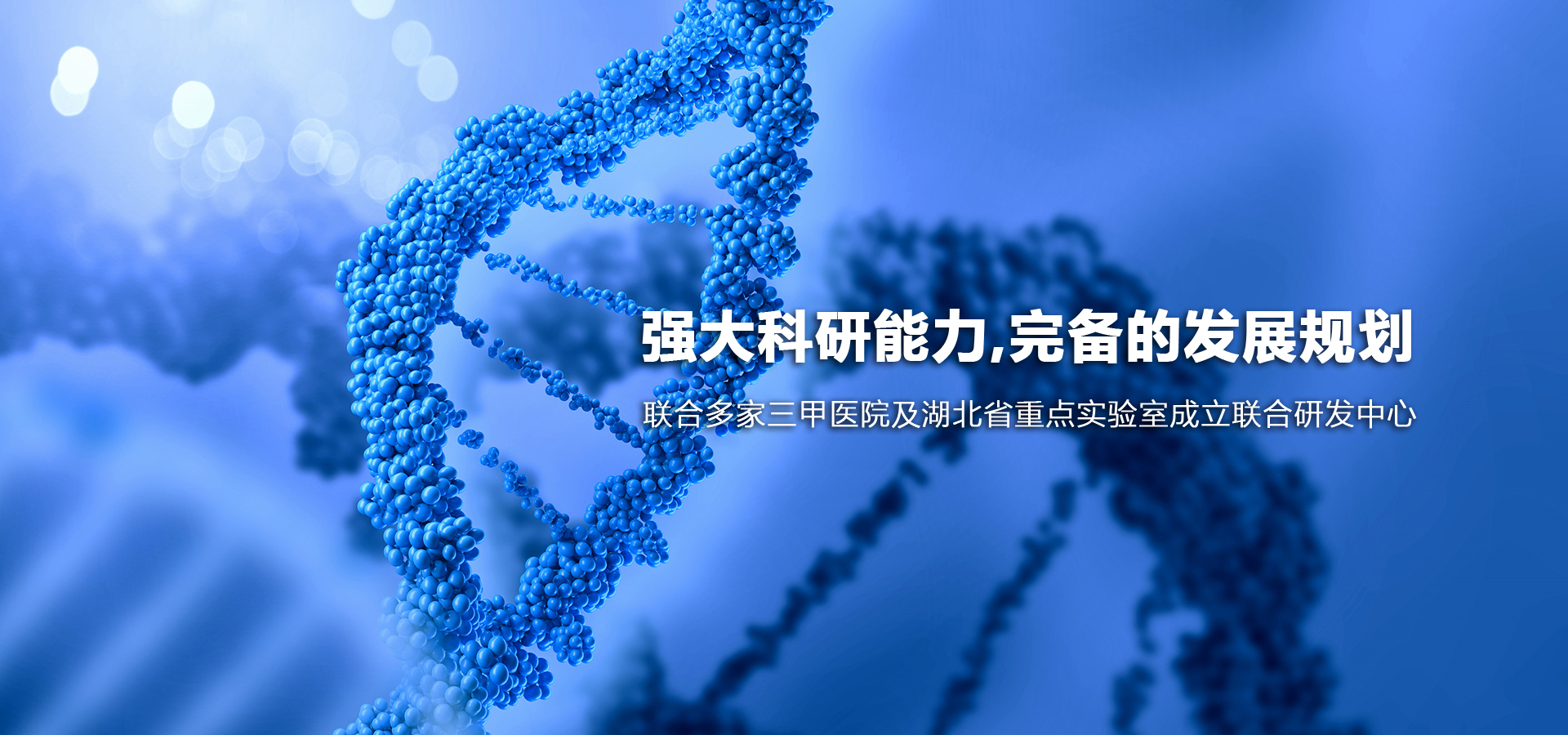 首页二
